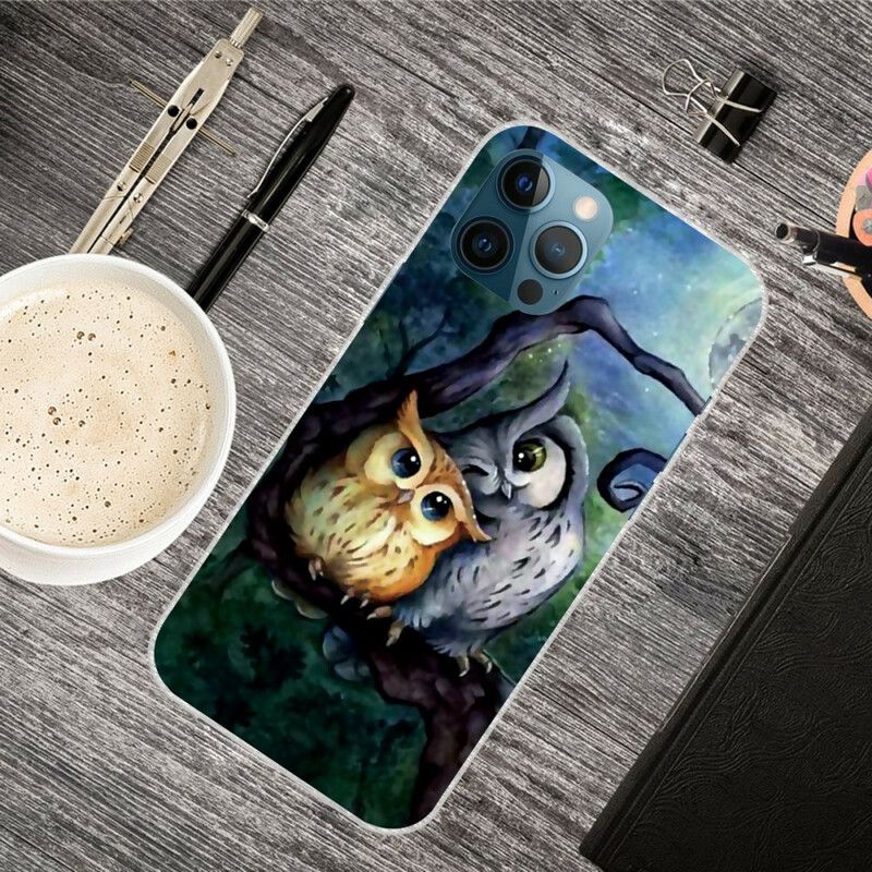 Etui Do Iphone 13 Pro Max Malowanie Sów