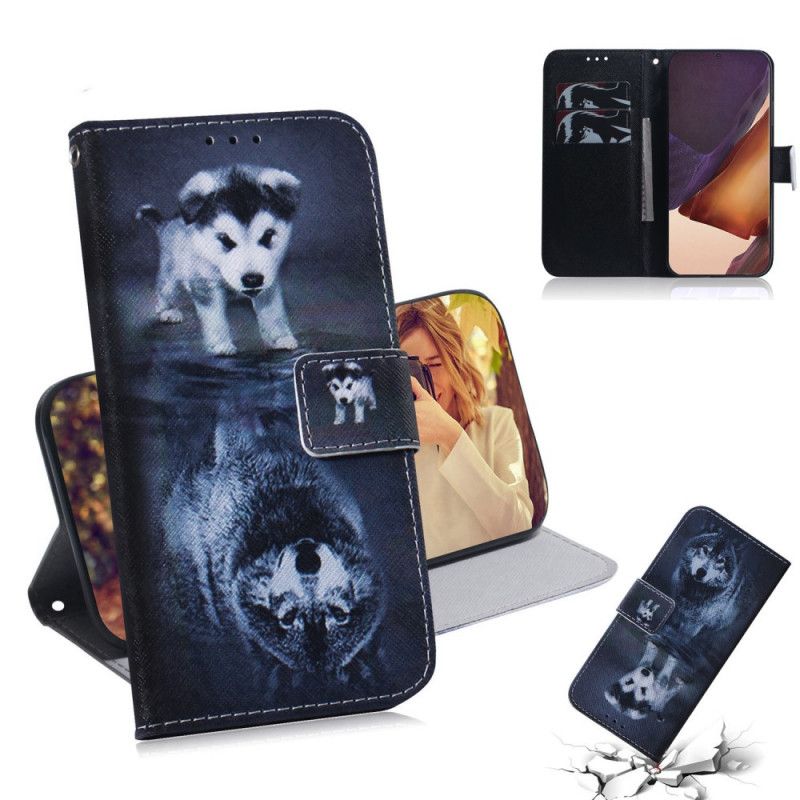 Etui Folio Samsung Galaxy Note 20 Ultra Ernesto Wilka