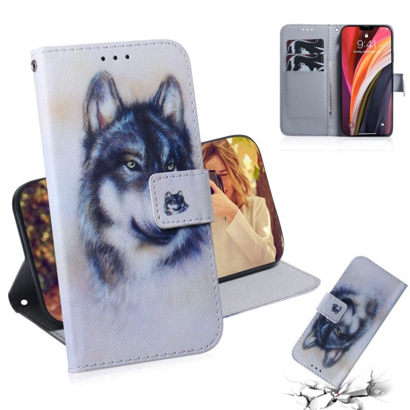 Etui Folio iPhone 12 Pro Max Psie Spojrzenie Etui Ochronne