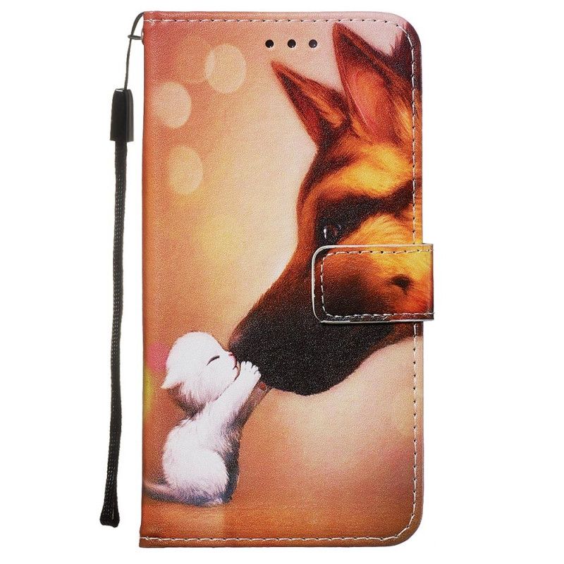 Etui Folio Samsung Galaxy S20 Przyjaciel Kota Ernesta Etui Ochronne