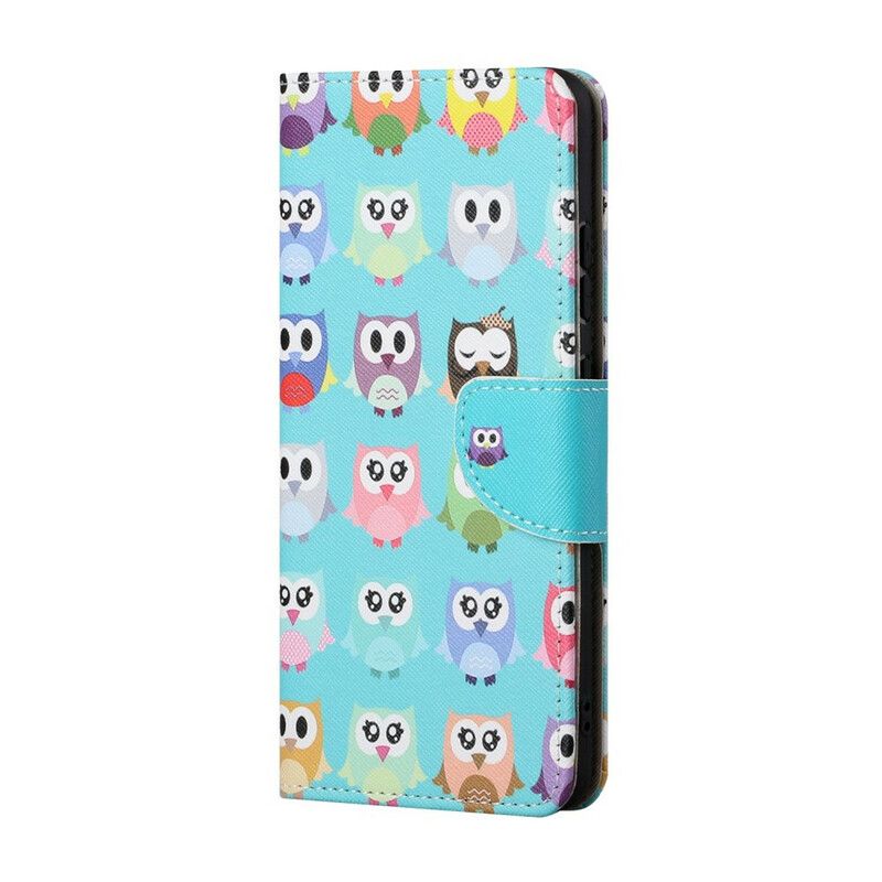 Etui Folio Do Oneplus Nord 2 5g Wiele Sów