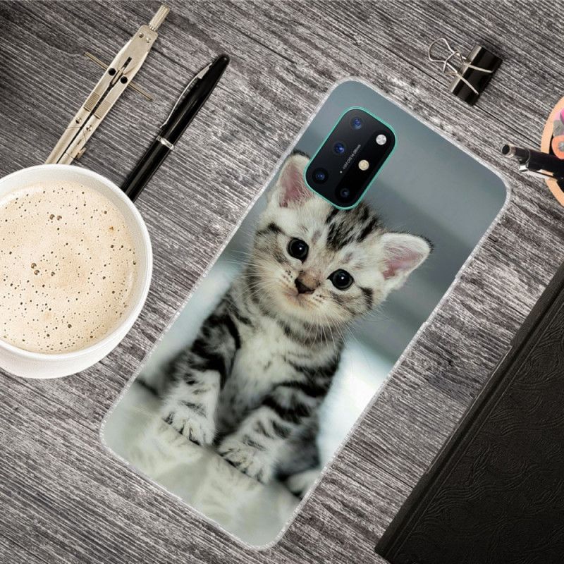 Etui OnePlus 8T Kociak Etui Ochronne