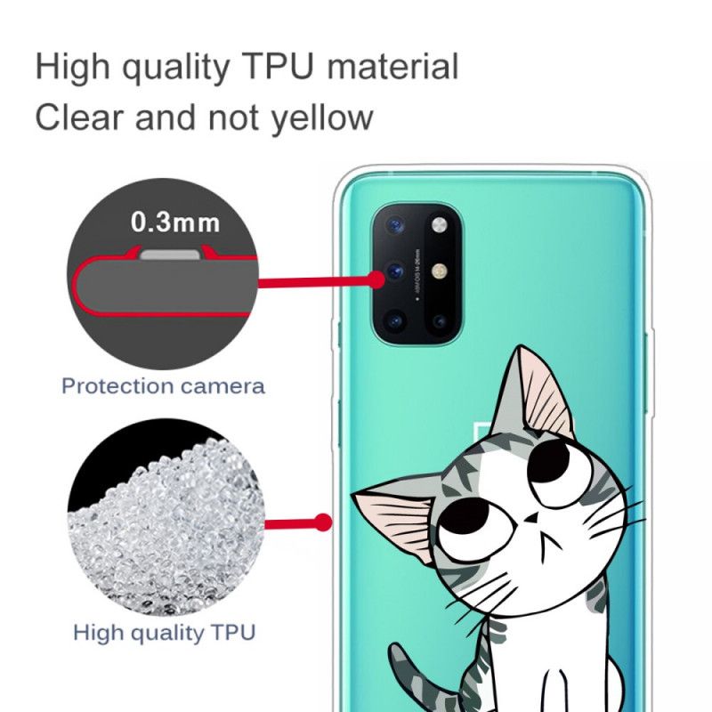 Etui OnePlus 8T Spójrz Na Szarego Kota Etui Ochronne