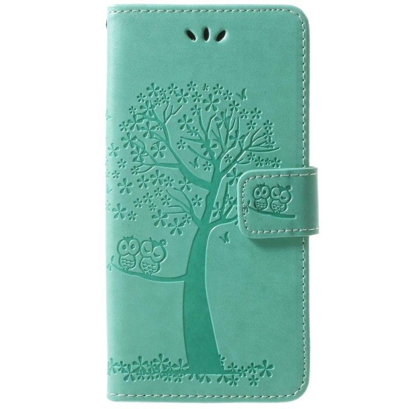 Etui Folio Samsung Galaxy S9 Szary Czarny Sowy Drzewne I Stringi Etui Ochronne