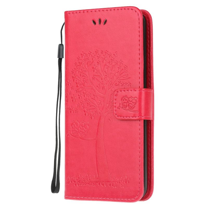 Etui Folio Xiaomi Mi Note 10 Lite Szary Czarny Sowy Drzewne I Stringi Etui Ochronne