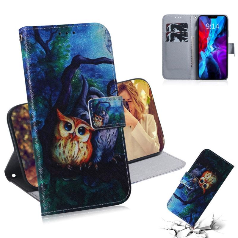 Etui Folio iPhone 12 Mini Malowanie Sów Etui Ochronne