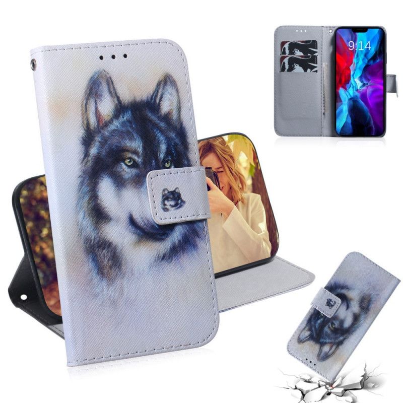 Etui Folio iPhone 12 / 12 Pro Psie Spojrzenie Etui Ochronne