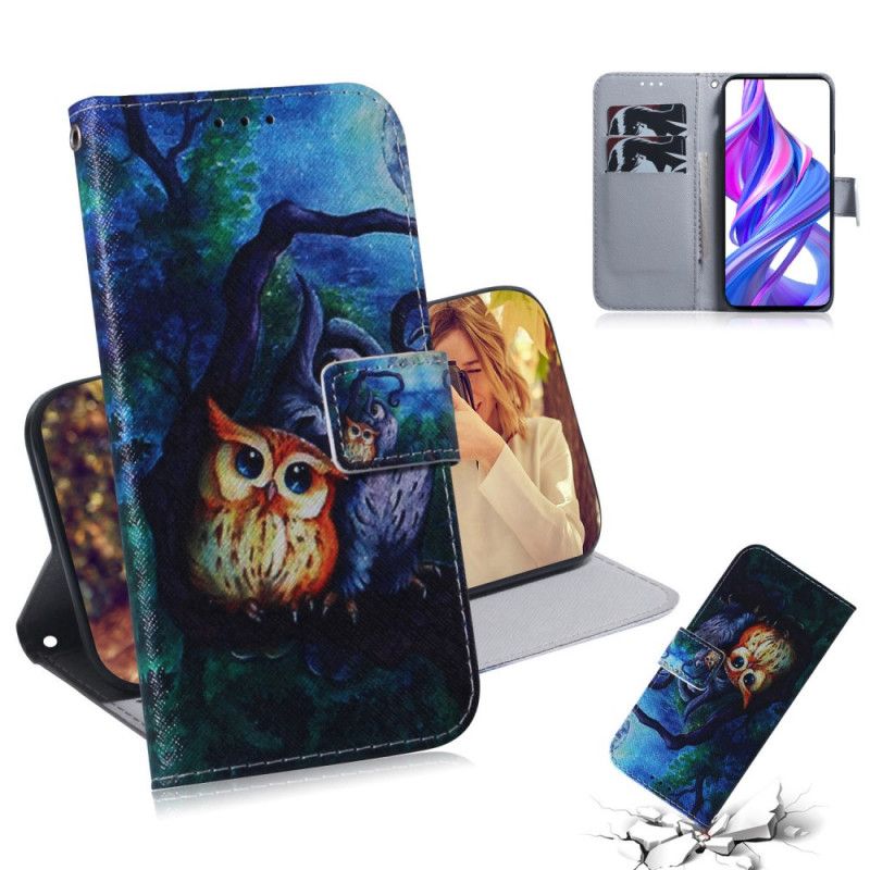 Etui Folio Honor 9X Pro Malowanie Sowy