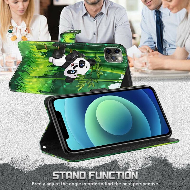 Etui Folio Iphone 13 Pro Panna Sowa 3d