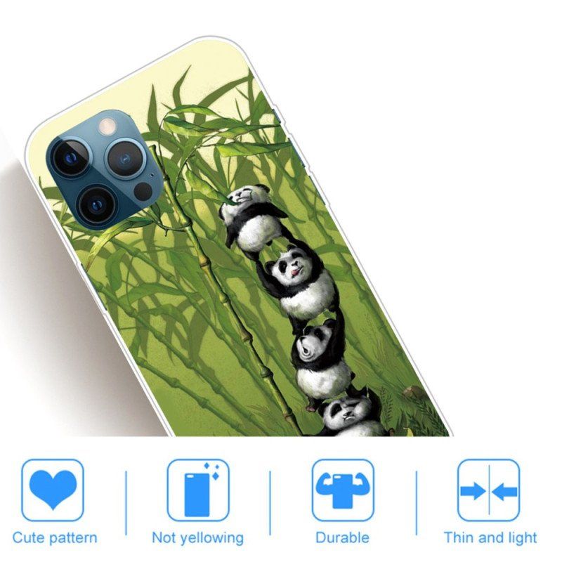 Etui do iPhone 14 Pro Banda Pand